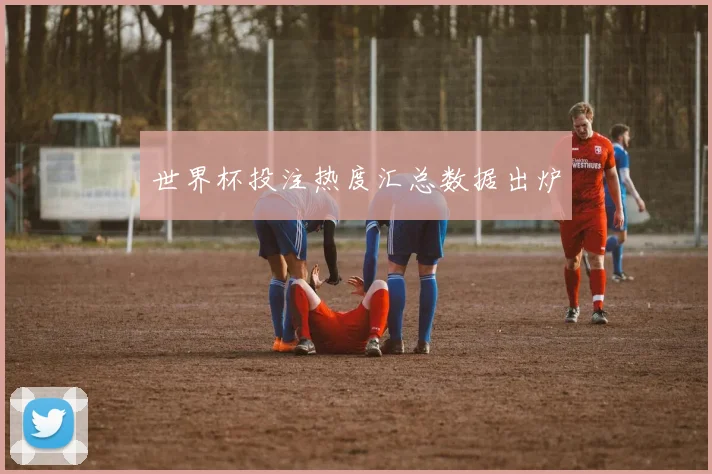 世界杯投注热度汇总数据出炉