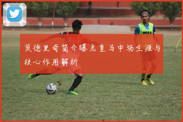 莫德里奇简介曝光皇马中场生涯与核心作用解析