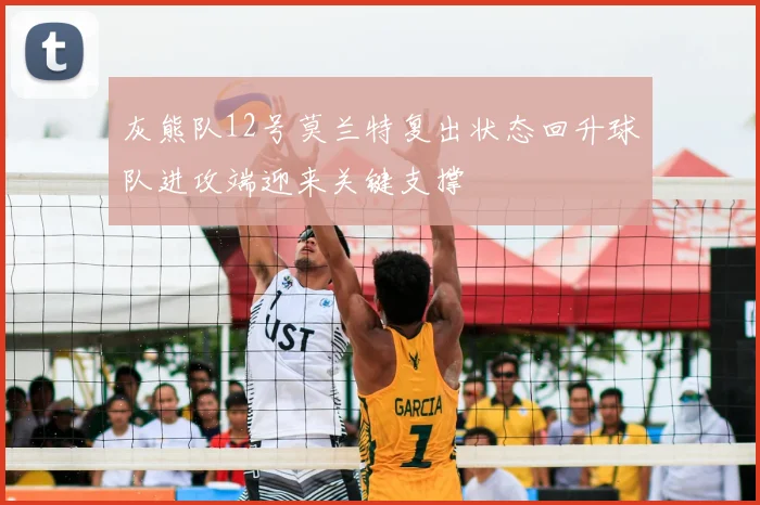 灰熊队12号莫兰特复出状态回升球队进攻端迎来关键支撑