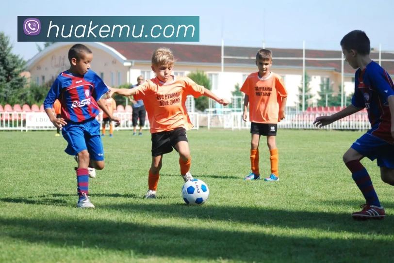 世界杯官方网络平台平台生态图